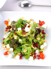 Fresh Healthy salad