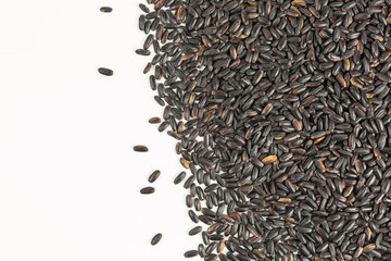 background of black rice - oryza sativa