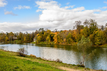 View of an autumn park with colorful leaves