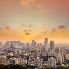Fototapeta premium Pejzaż miasta Tokio, Japonia. Widok z lotu ptaka na nowoczesny biurowiec i wieżowiec w centrum tokio z jasnym tle nieba. Tokio to metropolia i centrum nowoczesnego biznesu nowej Azji