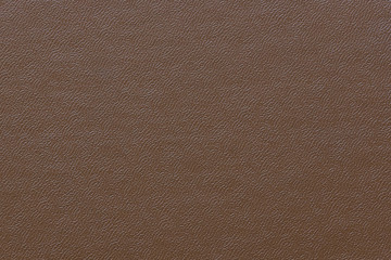 skin texture brown color