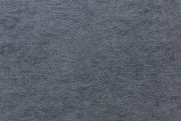 Fototapeta na wymiar the texture of the skin of gray color