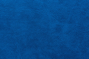 the texture of the skin blue
