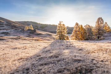Fototapeta premium Morning Fog in Mountains. Hoarfrost on Grass and Trees.