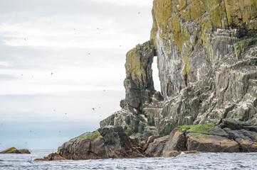 Columnar basalt rock formation with flocks of nesting murre in Semidi Islands, Alaska