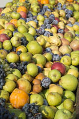 Frutta varia