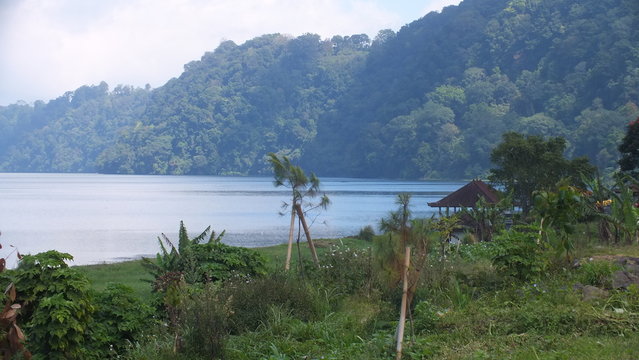 vdf