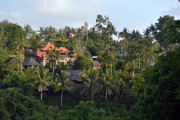 Fototapeta na wymiar The view around Campuhan ridge in Ubud, Bali. A nice track with relaxing view