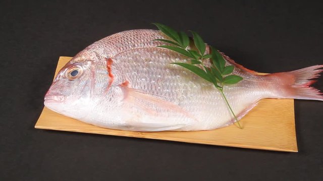 小鯛