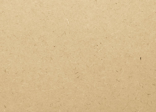 Fototapeta Beige particle pressed wood panel of oriented strand board (OSB) texture background in light brown cream sepia color .