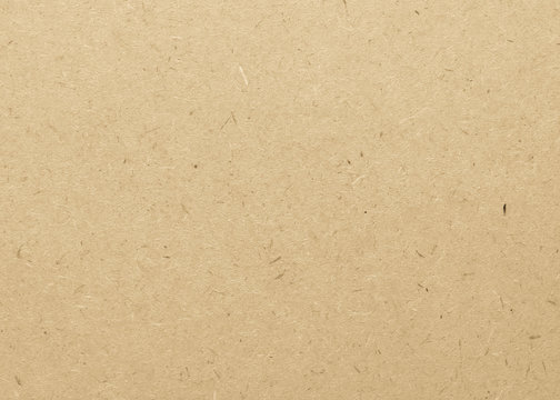 Fototapeta Beige particle pressed wood panel of oriented strand board (OSB) texture background in light brown cream sepia color .
