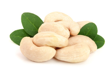 cashew nuts with leaf isolated on white background. macro