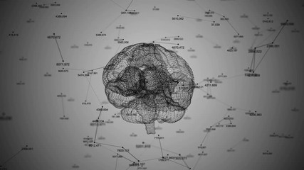 The human brain. Plexus with numbers. Beautiful background. The concept of science, medicine and business. Loop animation
