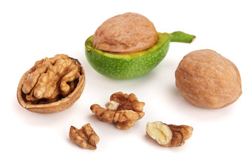 fresh walnuts in peel isolated on white background