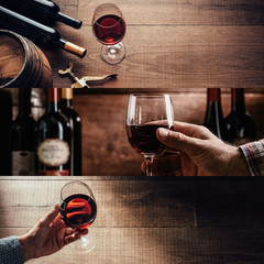 Wine tasting at the winery