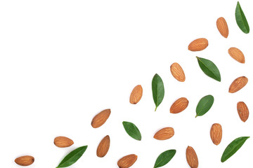 almonds with leaves isolated on white background with copy space for your text. Top view