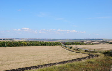 Summer countryside along the road in sunny day