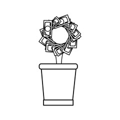 plant with leaves money  vector illustration