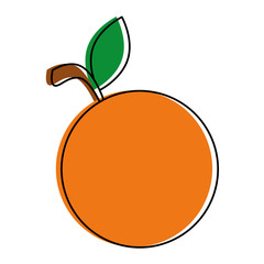 orange fresh fruit icon