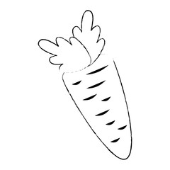 carrot fresh vegetable icon