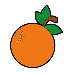 orange fresh fruit icon