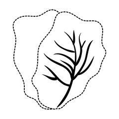 cabbage fresh vegetable icon