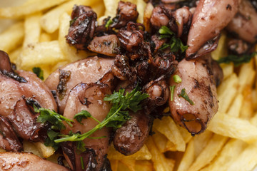 Grilled calamari and chips