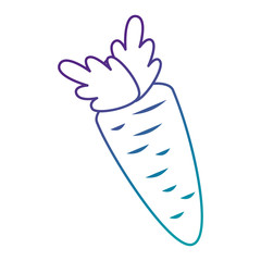 carrot fresh vegetable icon