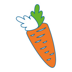 carrot fresh vegetable icon