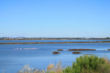 Etang du Grec à Palavas les Flots, France
