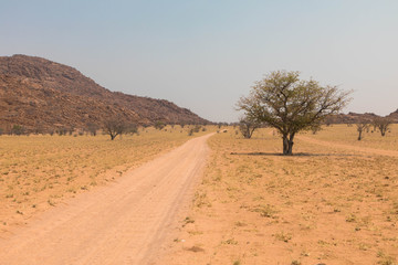 Durch die Kalahari, Namibia