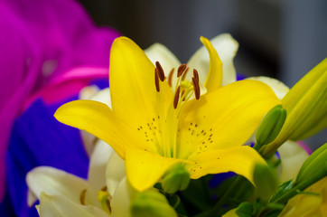 Obraz premium Bouquet of flowers