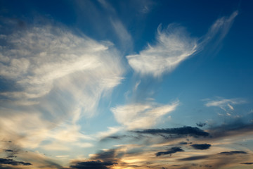 Fototapeta premium Background of transparent white clouds in a light blue sky illuminated by the setting sun.