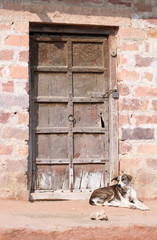 Indian Vintage Door