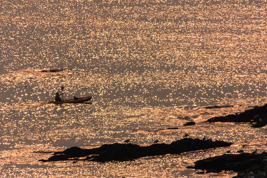Boats