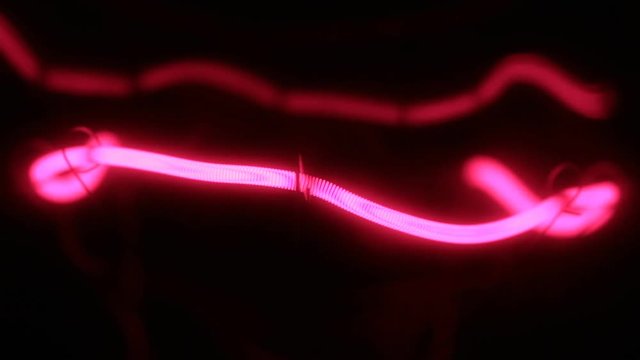 Smooth increase and decrease in the power of the red helix of the tungsten filament. Close-up