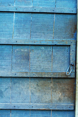 Indian Vintage Door