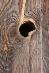 Door details