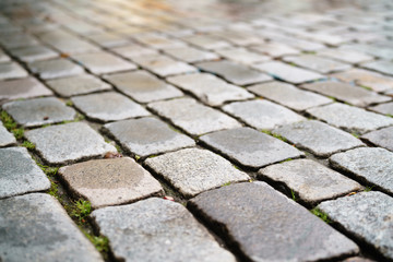 wet old granite pavement closeup