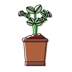 plant vector illustration