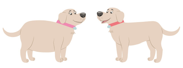 Fat Labrador meet fit Labrador dog cartoon character