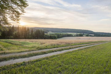 Chemin agricole, forêt, couché de soleil, jura