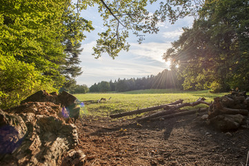 Praire ensoeillée, place de pic-nic, jura, alpage