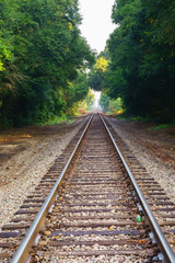 Fototapeta premium Beckoning Tracks