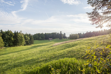 prairie ensoleillée, ciel magnifique, Jura