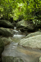 Abstract waterfall from ravine in forest