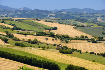 Summer landscape in Marches (Italy) near Ostra