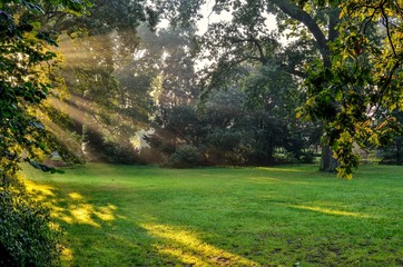 Morning urban landscape. Sun rays behind the trees in the park.