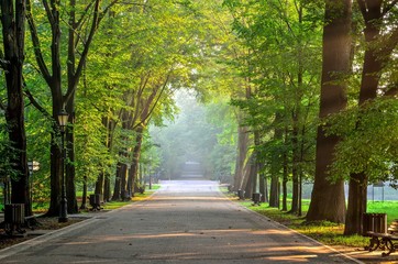 Naklejka premium Summer morning urban landscape. Beautiful alley among the trees in the castle park in Pszczyna, Poland.