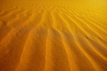 Texture sand in the desert